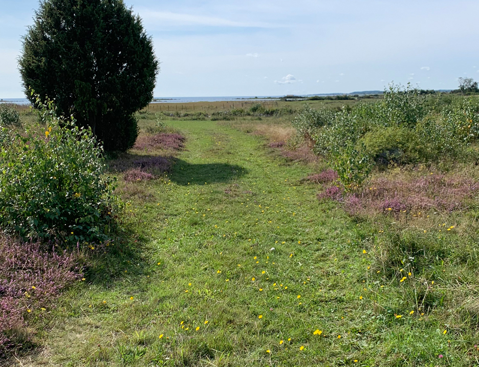 Vägen mot havet